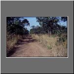 bangweulu_drytime_road002.jpg