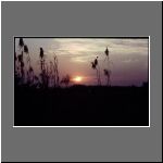 2002bangweulu_swamps_sunset001.jpg